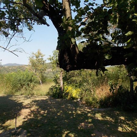 Leopard Tree Retreat Vila Mbombela Exterior foto