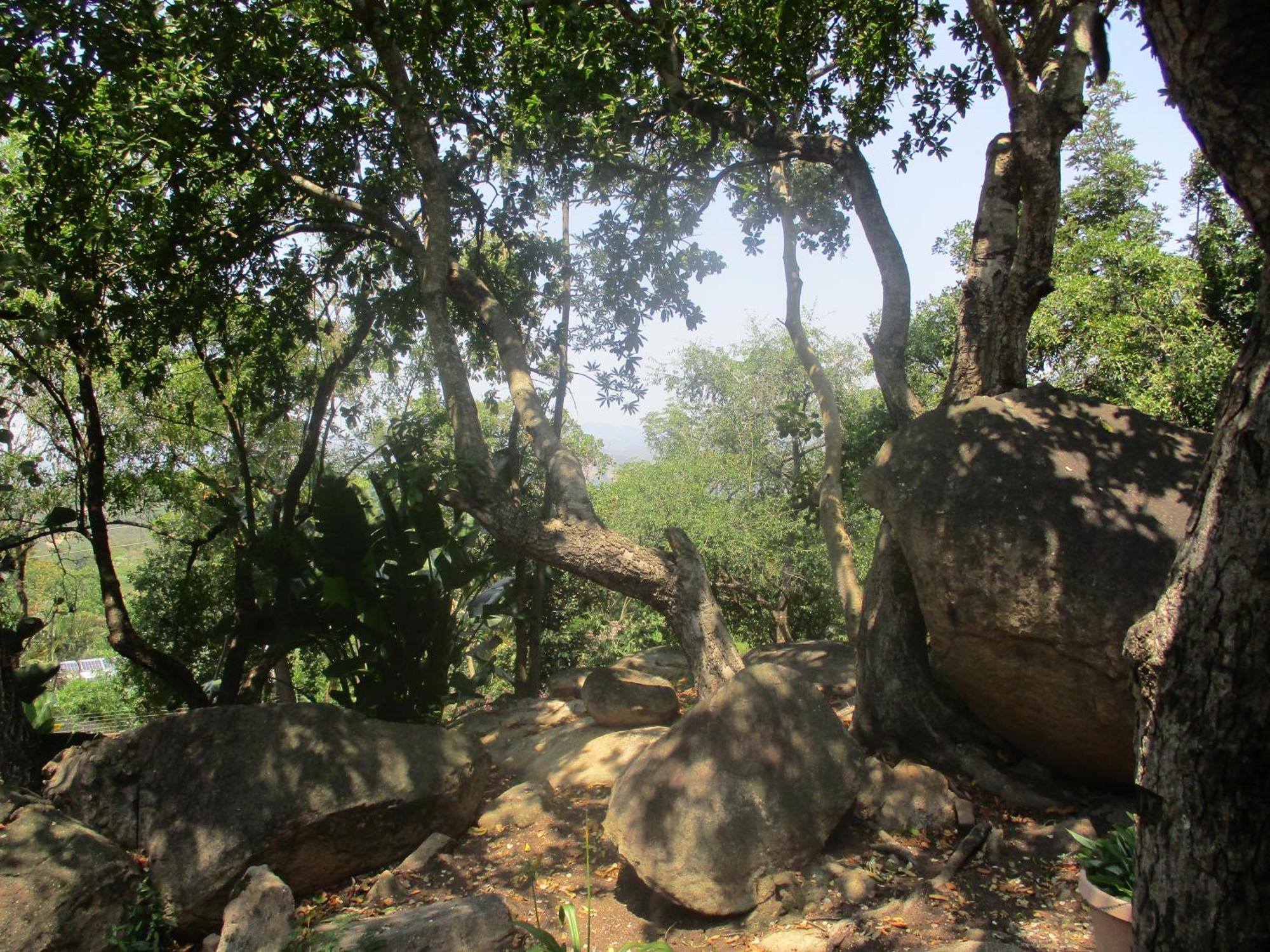 Leopard Tree Retreat Vila Mbombela Exterior foto