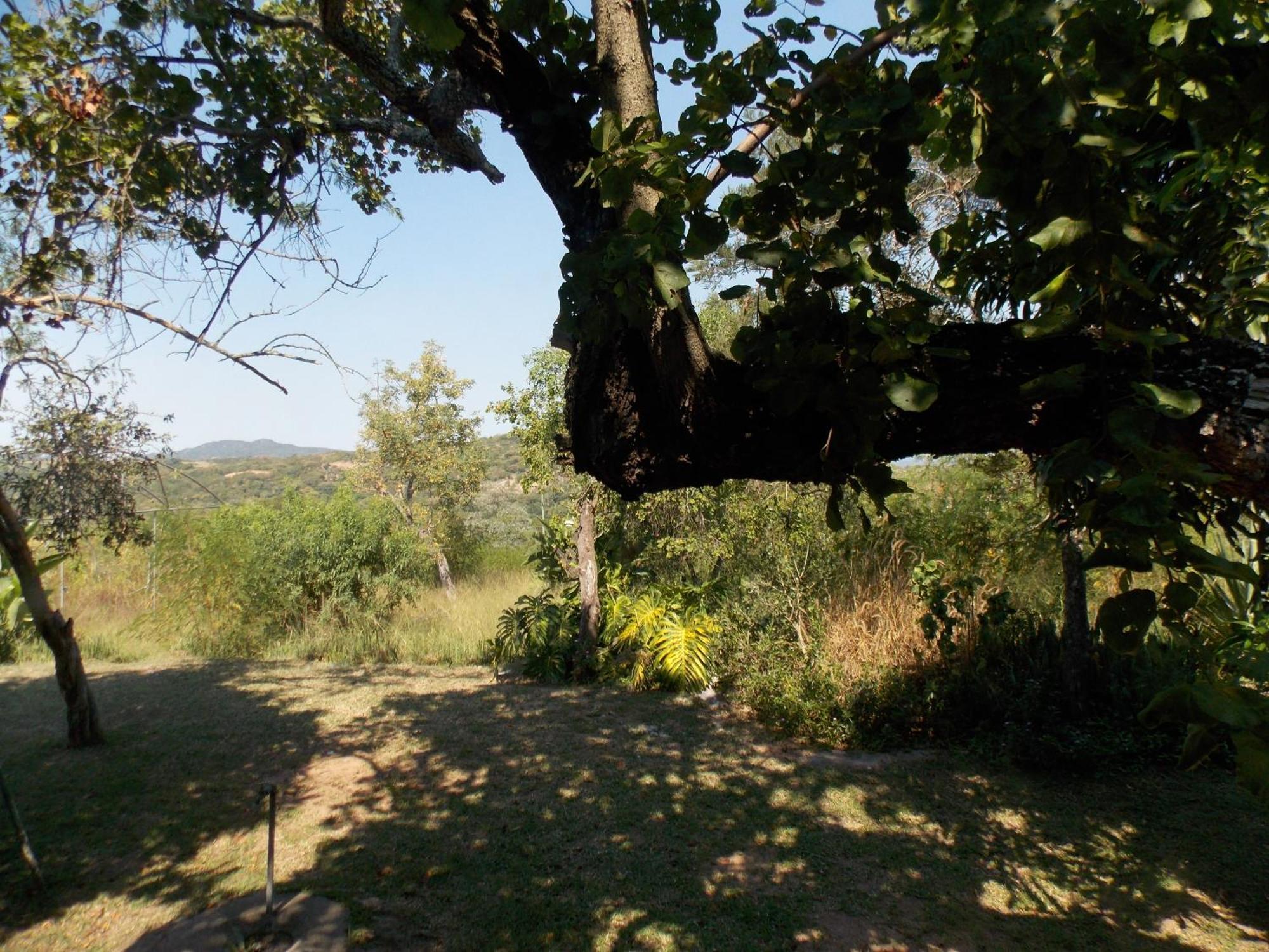 Leopard Tree Retreat Vila Mbombela Exterior foto